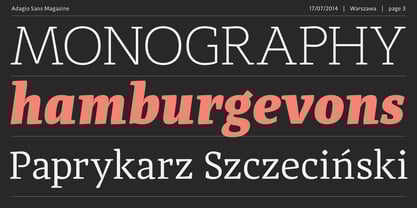 Adagio Serif Font Poster 3