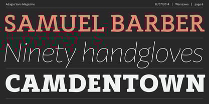 Adagio Serif Font Poster 6