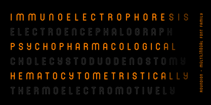 Roundion Font Poster 11