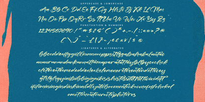 Daily Vintage Font Poster 15