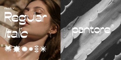 Conega Font Poster 5