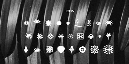 Conega Font Poster 6