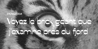 Conega Font Poster 10