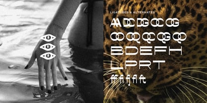 Conega Font Poster 2