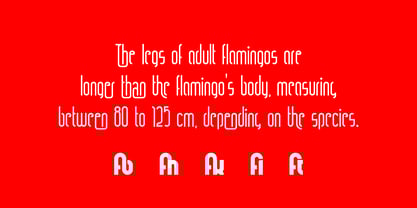Ring Legs Font Poster 3