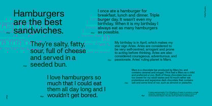 Klarit Font Poster 6