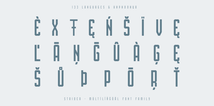 Strider Font Poster 2