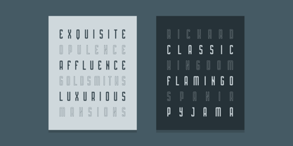 Strider Font Poster 4