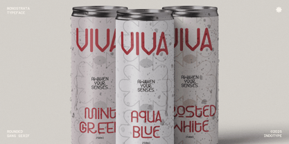 IT Monostrata Font Poster 8