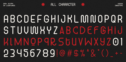 IT Monostrata Font Poster 4