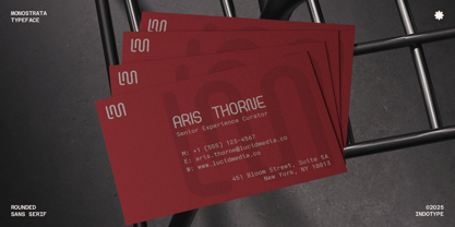 IT Monostrata Font Poster 9