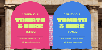 Waves Signal Font Poster 2