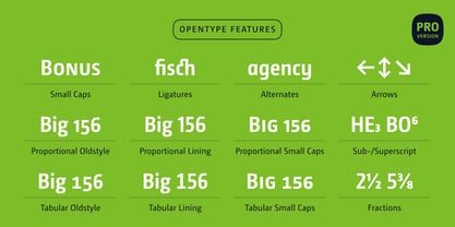 CamingoDos Condensed Font Poster 9