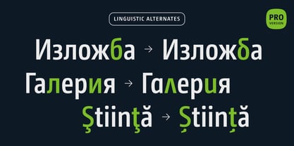 CamingoDos Condensed Font Poster 8