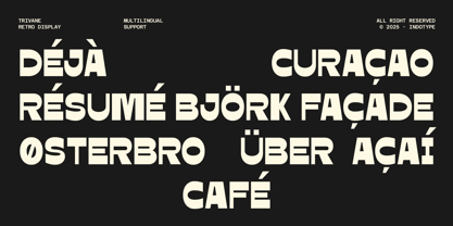 IT Trivane Font Poster 6