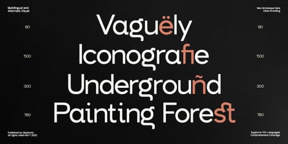 GC Allio Font Poster 4