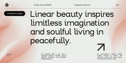 GC Allio Font Poster 7