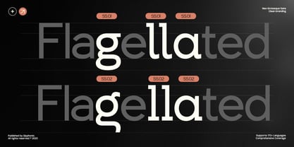 GC Allio Font Poster 8