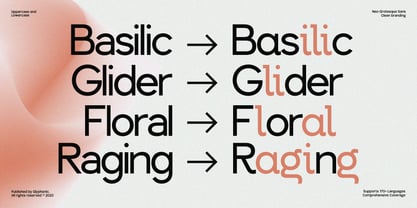 GC Allio Font Poster 3