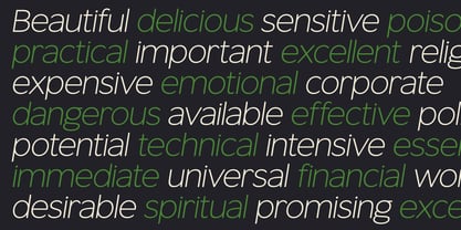 Fikao Sans Font Poster 5