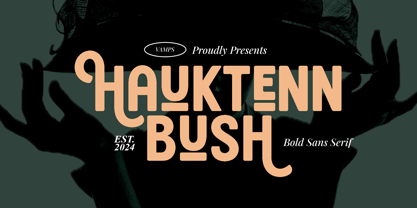 Haukteen Bush Font Poster 1