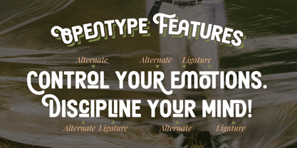 Haukteen Bush Font Poster 11