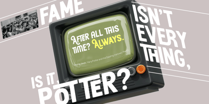 Haukteen Bush Font Poster 8