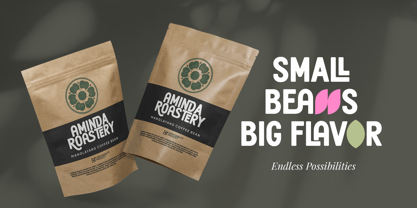 Haukteen Bush Font Poster 9