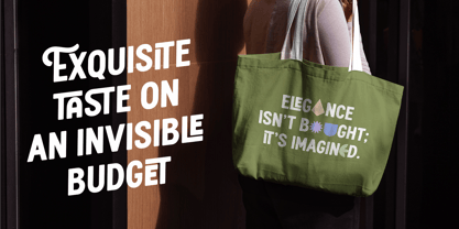 Haukteen Bush Font Poster 3