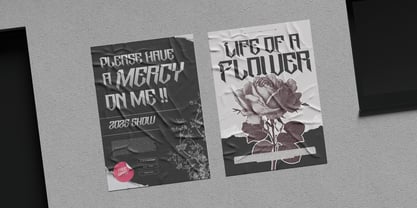 Taeob Gothic Font Poster 11