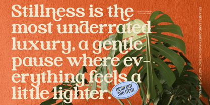 Sinkled Font Poster 3