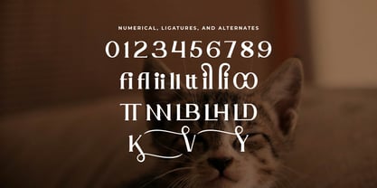 Elhave Font Poster 6