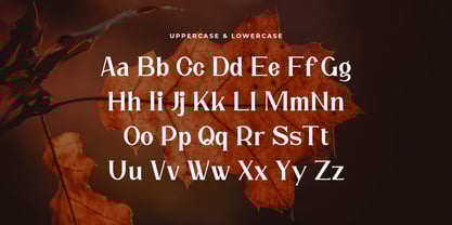 Elhave Font Poster 2