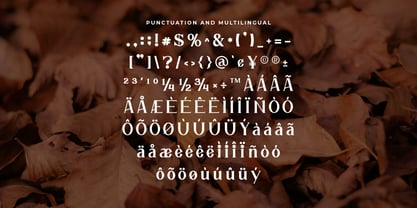 Elhave Font Poster 4