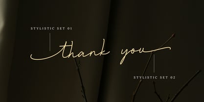 Living my story Font Poster 8