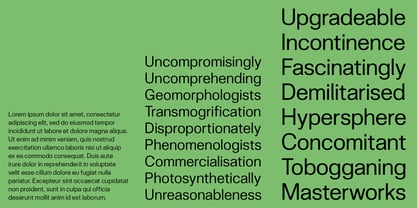 Skipton Font Poster 12