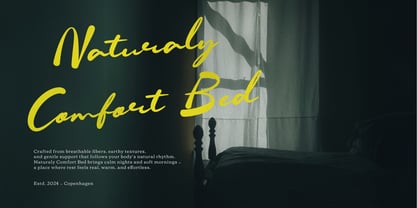 Dwimsy Mellowdi Font Poster 6