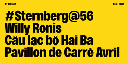 BT Solisiert Font Poster 10