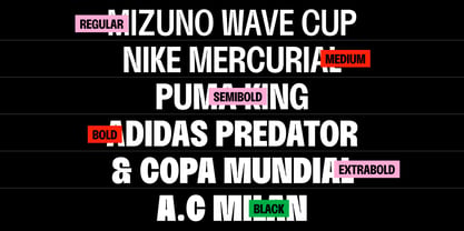 BT Solisiert Font Poster 2