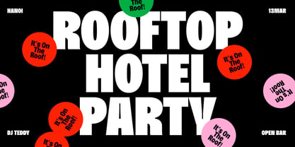 BT Solisiert Font Poster 14