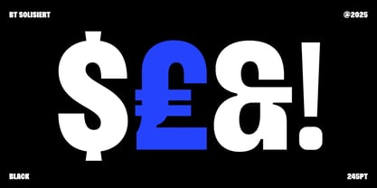 BT Solisiert Font Poster 11