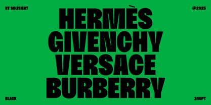 BT Solisiert Font Poster 12