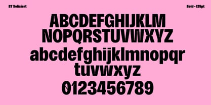 BT Solisiert Font Poster 4
