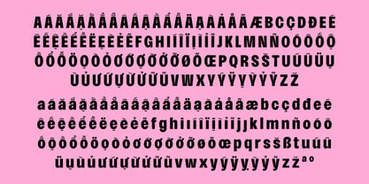 BT Solisiert Font Poster 13