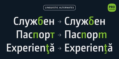 CamingoDos SemiCondensed Font Poster 8