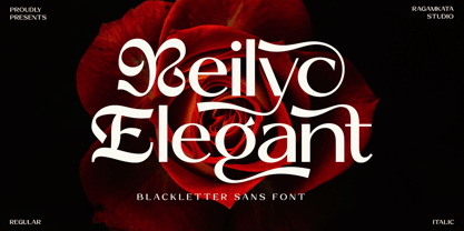 Reilyc Elegant Font Poster 1