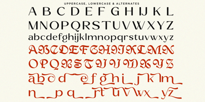Reilyc Elegant Font Poster 9