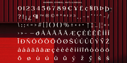 Reilyc Elegant Font Poster 10