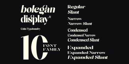 Bolegan Display Font Poster 14