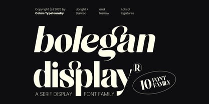 Bolegan Display Font Poster 15